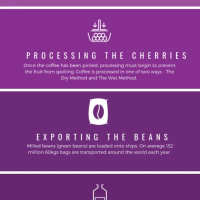 All You Need To Know About the Coffee Making Process!