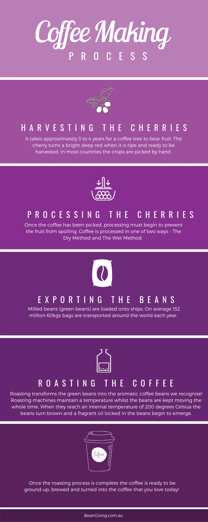 All You Need To Know About the Coffee Making Process!